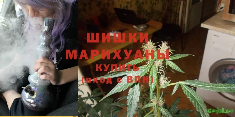 Бошки марихуана Ganja  где найти наркотики  Торопец 